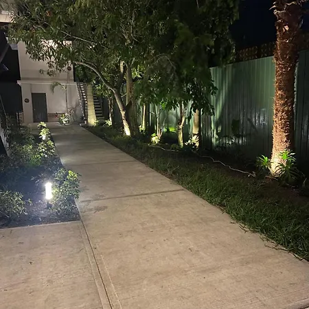 The Palms-2